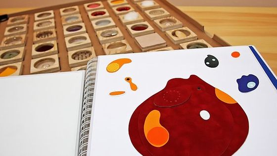 Jednou rukou přečíst celou knihu