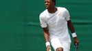 Gael Monfils na Wimbledonu 2014