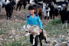 Foto: Žijí v souladu s přírodou a čelí nepřátelským vesničanům. Takhle kočují turečtí nomádi