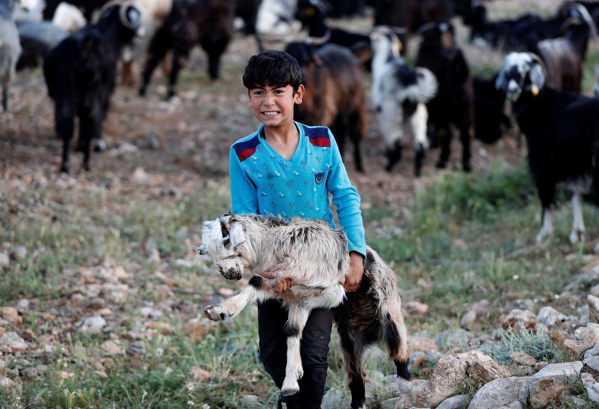 Fotogalerie / Nomádi v Turecku / Reuters / 7