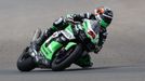 Oliver König na Kawasaki, MS superbiků 2023