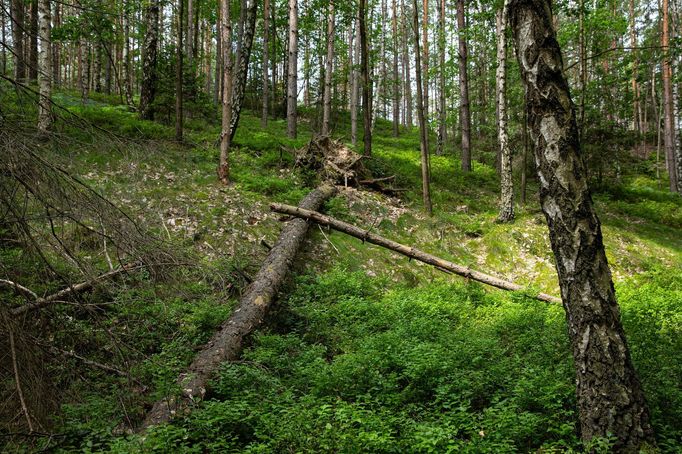 Chráněná krajinná oblast Kokořínsko.