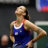 Fed Cup 2019: Karolína Plíšková v zápase se Simonou Halepovou