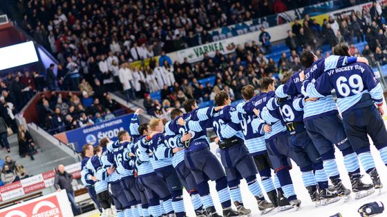 Univerzitní liga: Šance studovat a hrát dobrý hokej. V Plzni na ni chodí víc lidí než na první ligu