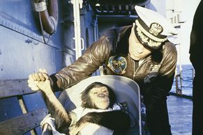 Foto: Ham letěl do vesmíru dřív než člověk. První "astrošimpanz" trénoval rok a půl
