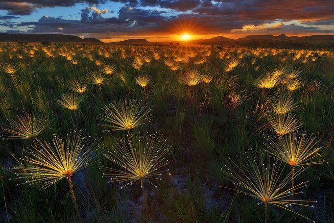 Siena International Photo Awards 2017