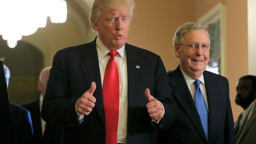 Setkání Donalda Trumpa s vůdcem republikánské většiny v Senátu Mitchem McConnellem.