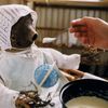 Jan Švankmajer, Otesánek