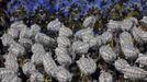 Revellers of the Unidos da Tijuca samba school participate in the annual carnival parade at Rio de Janeiro's Sambadrome, February 10, 2013. REUTERS/Ricardo Moraes (BRAZIL - Tags: SOCIETY) Published: Úno. 11, 2013, 5:25 dop.