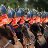 Mongolsko