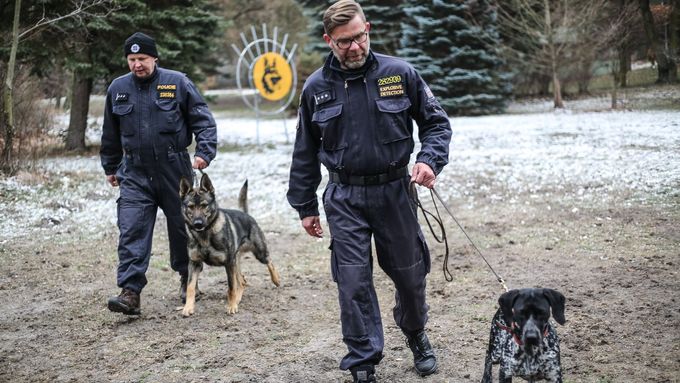 Fotoreportáž: Podívejte se, jak probíhá výcvik policejních psů určených na hledání výbušnin.