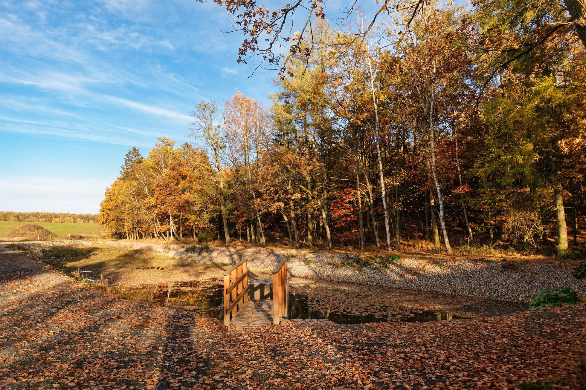 Mohyly z doby bronzové u Velké Dobré na Kladensku, podzim