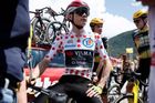 Nakažlivé krávy zkrátily horskou etapu na Tour. A Vingegaard porazil Pogačara
