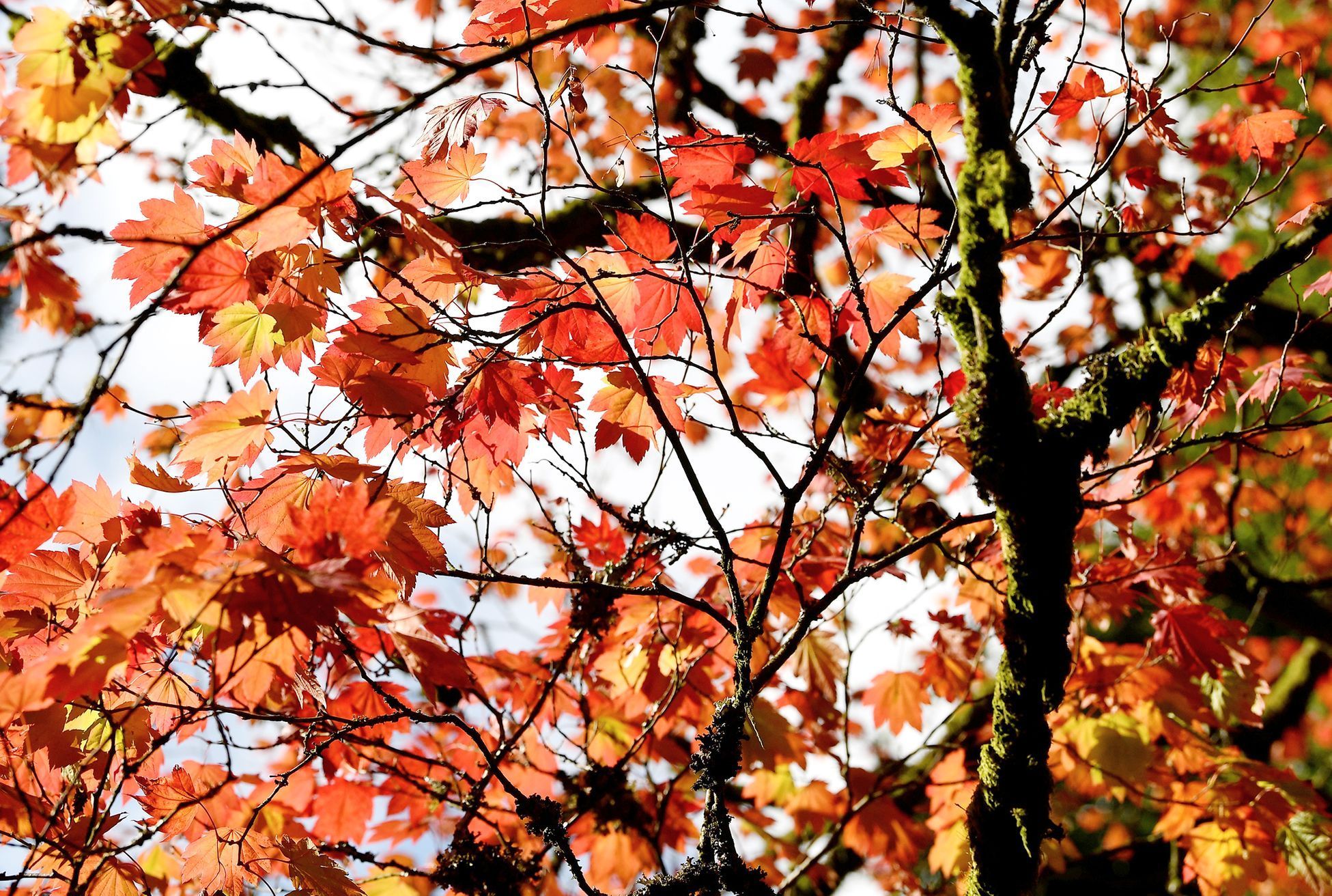 Jednorázové užití / Fotogalerie / Nechte se okouzlit krásami podzimu / 2