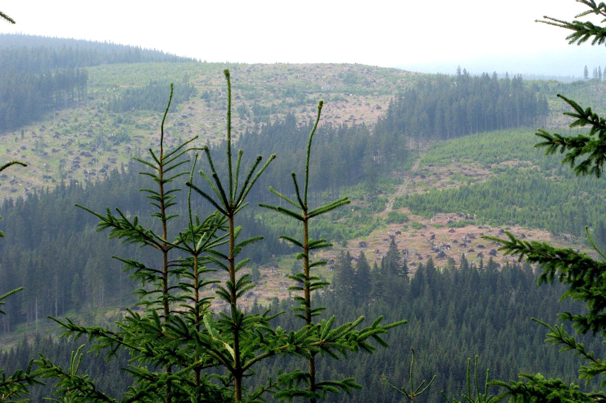 Krkonošský národní park