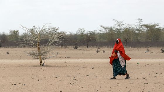 Marné čekání na déšť. Jak vypadá život v keňském uprchlickém táboře Dadaab