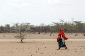 Marné čekání na déšť. Jak vypadá život v keňském uprchlickém táboře Dadaab