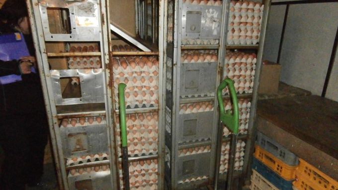 Objevená vejce bez prokázaného původu se do prodeje nedostanou