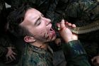 Foto: Přežili byste v džungli? Vojáci na extrémním kurzu přežití pijí kobří krev a jedí tarantule