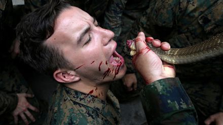 Mariňáci se učili přežít v džungli. Pili krev kobry, jedli škorpiony