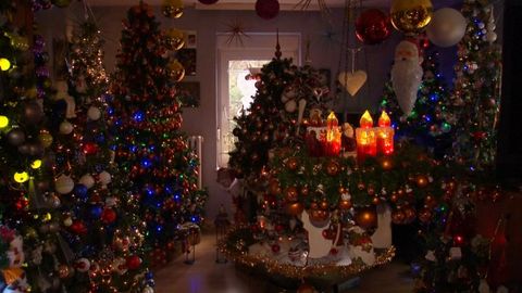 Pár si vyzdobil dům více než stovkou vánočních stromečků. Ubránila se jen ložnice