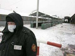 S ptačí chřipkou se nyní potýká Moskva a okolí. Populární drůbeží trh v ruské metropoli musel být uzavřen.