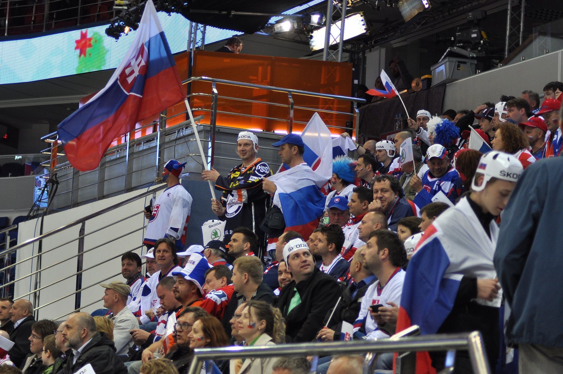 MS 2014, ČR-Slovensko: slovenští fanoušci