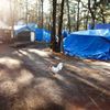 Komunitní stanové městečko bezdomovců u New Jersey