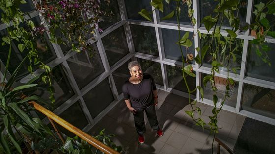 Jak bydlí Dagmar Pecková? Pěvkyně žije obklopená květinami a starožitnostmi