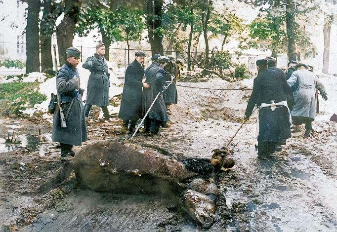 Židé v roce 1939 pod dohledem odstraňují mrtvého koně ve Varšavě jako součást nucených prací poškozeného města po bojích. Kolorovaný snímek