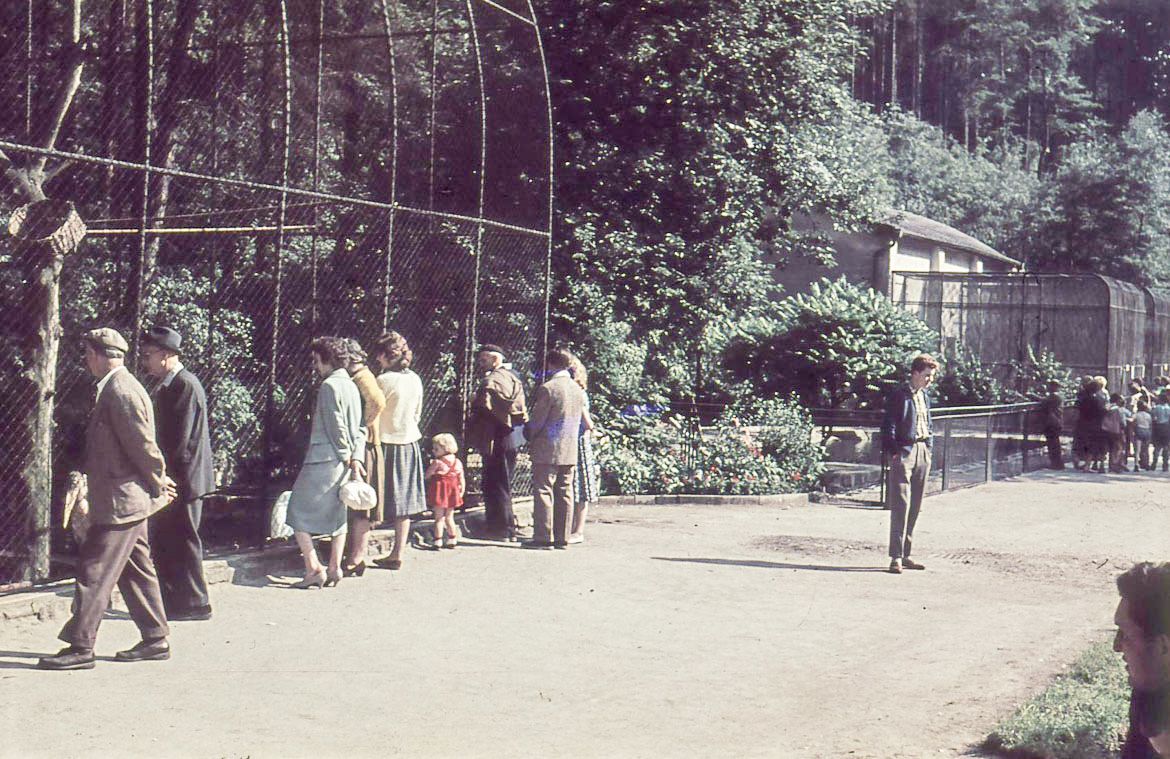 ZOO Liberec, zoo, zoologická zahrada, Liberec, historie, výročí, Domácí