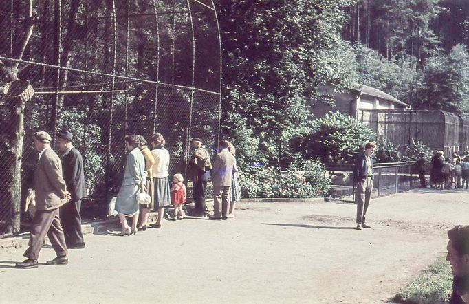 ZOO Liberec slaví 120 let od svého vzniku. Podívejte se na historické momenty a vývoj nejstarší zoologické zahrady v českých zemích od jejího založení v roce 1904.