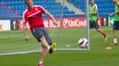 FC Viktoria Plzeň vs. AS Řím, tisková konference, trénink, David Limberský