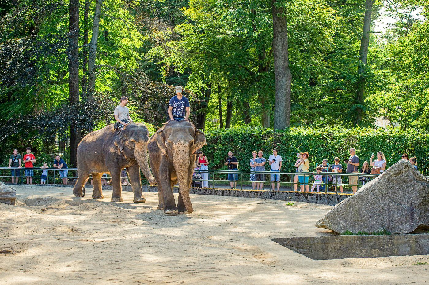 ZOO Liberec, zoo, zoologická zahrada, Liberec, historie, výročí, Domácí