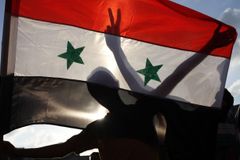 Česko dá 2,6 milionu na likvidaci syrských zbraní