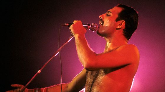 30 let bez Freddieho Mercuryho: Zpěvák Queen symbolizoval okázalou oslavu života