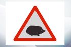 Pozor, na cestě je ježek. Nové značky v Británii zabrání úhynu ohrožených zvířat