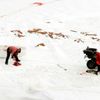Masakr tuleňů v Kanadě pokračuje i letos