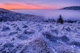 Mrazivé ráno na vrcholcích Krušných hor, Česká republika.