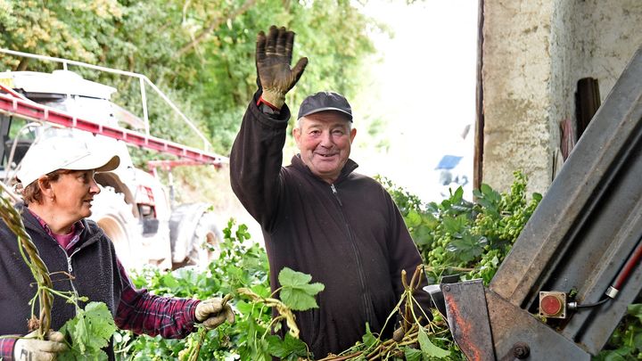  Jan Bezucha