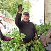 Chmelnice Kozojedy, chmel, Eminger, Kozojedy, sklizeň