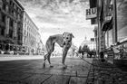 Pouliční život, psí i lidský. Snímky Petra Soldána, vítězného fotografa ze soutěže Street Reportu
