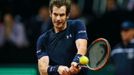 Finále Davis Cupu 2015: Andy Murray