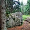 Šumava, Hamerský potok, Vydra