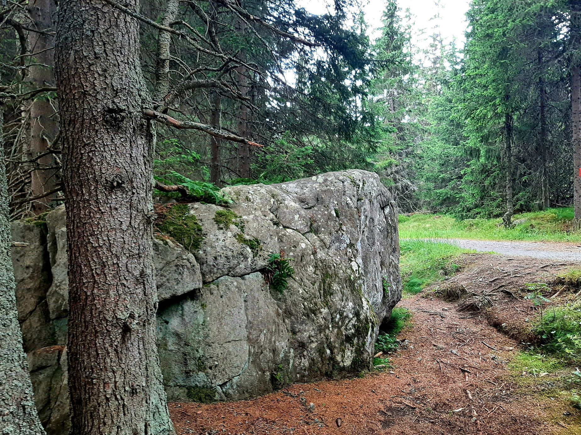 Šumava, Hamerský potok, Vydra