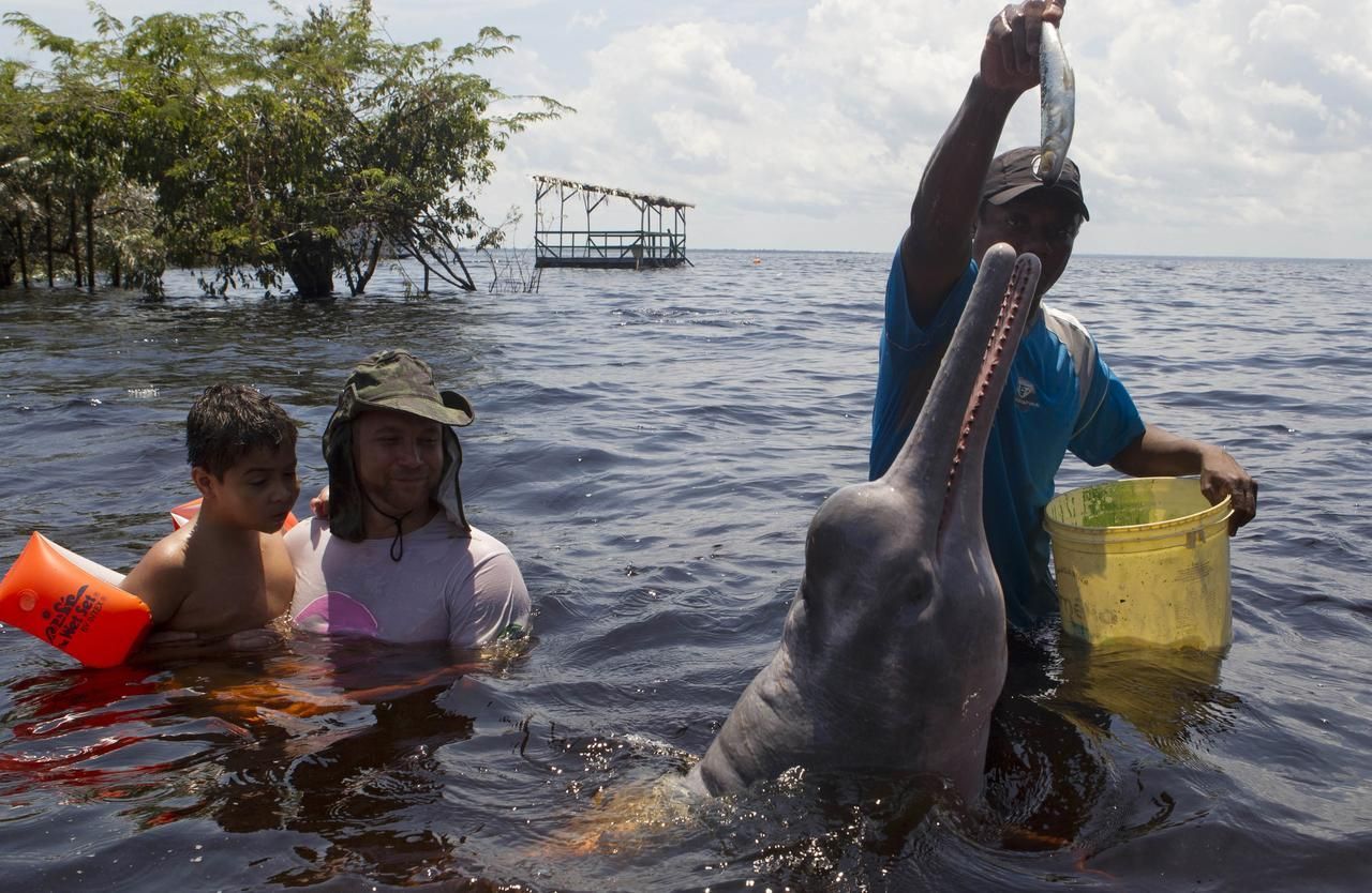 Foto: Delfínoterapie aneb jak delfíni mohou léčit