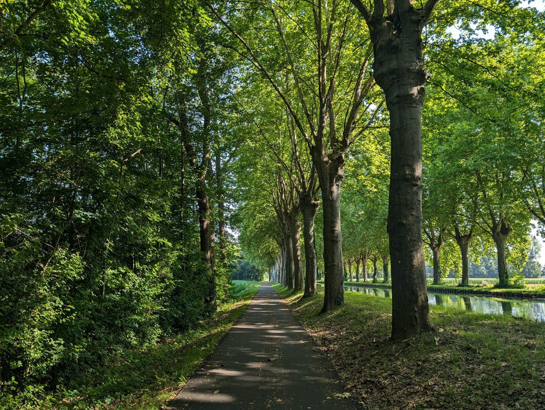 Z cyklocesty Michaela Macháčka