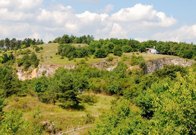 NPP Zlatý kůň