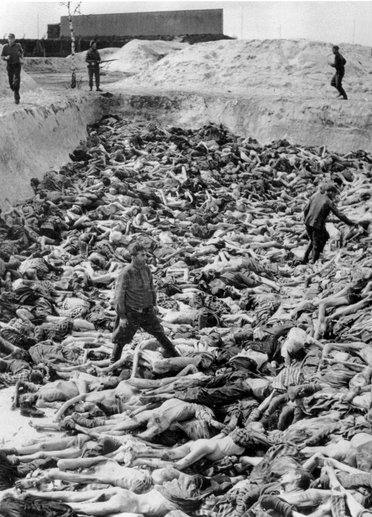 Osvobození Bergen-Belsenu