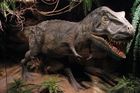 Nejsilnější stisk všech dob měl Tyrannosaurus Rex
